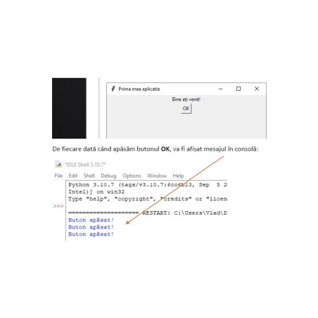 Curs de Python 3, Interfete grafice cu Tkinter, Volumul III (ebook)